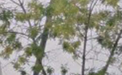 【精华】早安励志的语录汇总63条